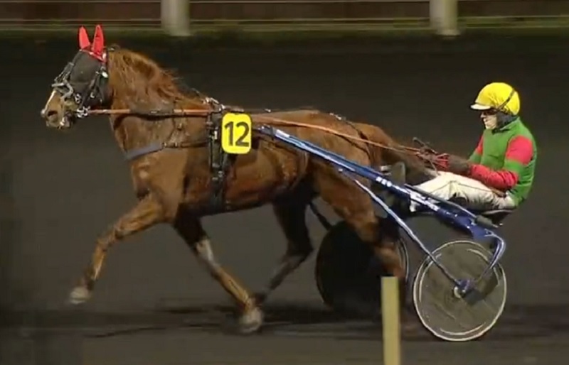 You are currently viewing Première à Vincennes pour Lovely des Brouets