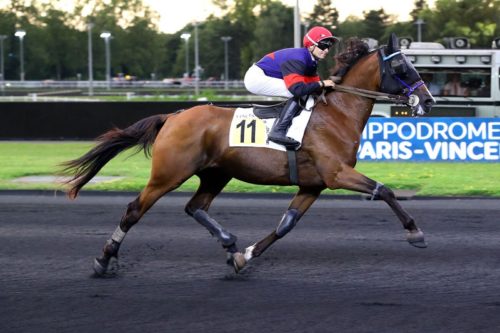 Label de Tillard double la mise dans le temple du trot