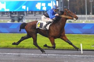 Lire la suite à propos de l’article Et de trois à Vincennes pour Leader de Sèvre