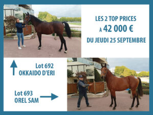 Lire la suite à propos de l’article Okkaïdo d’Éri et Otel Sam top prices à 42 000 € d’une nouvelle journée très active