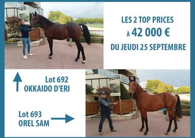 Okkaïdo d’Éri et Orel Sam top prices à 42 000 € d’une nouvelle journée très active