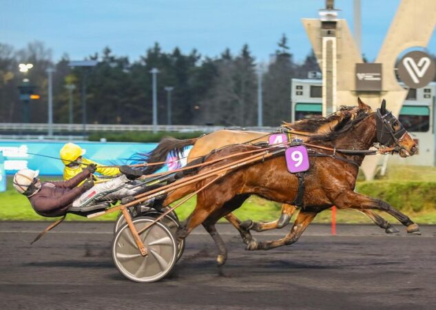 Kapella Dairpet et Lexington Danica brillent sur le mâchefer parisien