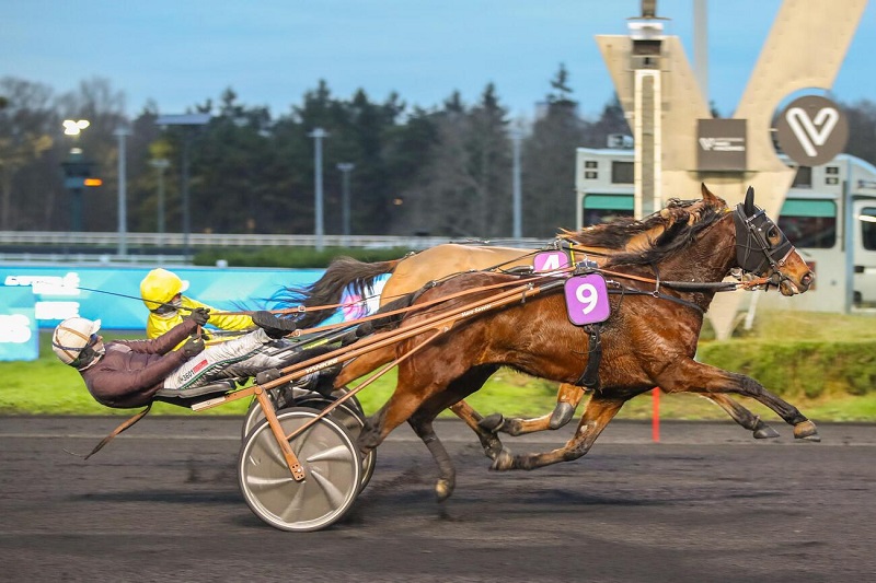You are currently viewing Kapella Dairpet et Lexington Danica brillent sur le mâchefer parisien