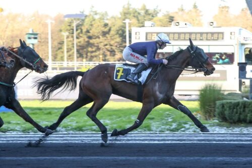 Lord Fromentro frappe à Vincennes pour ses débuts sous la selle