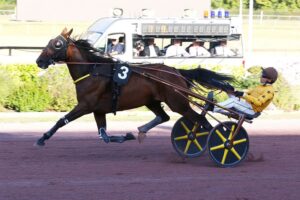 Lire la suite à propos de l’article Loubiana du Bourg puissance 3