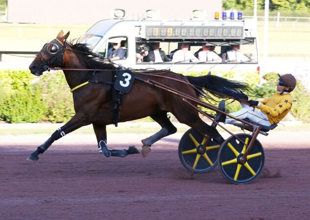 Loubiana du Bourg puissance 3