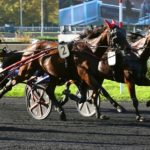 Lutin Venesi brille à Vincennes