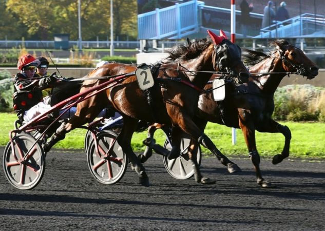 Lutin Venesi brille à Vincennes