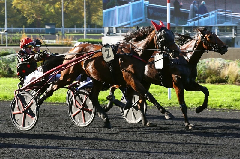 Lutin Venesi brille à Vincennes