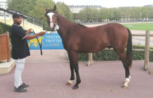 Milord de Tillard top price à 38 000 € !
