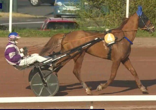 Mojito Céné débloque son compteur