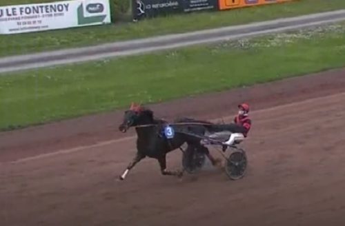 Une première victoire prometteuse pour Mowgly Fréca
