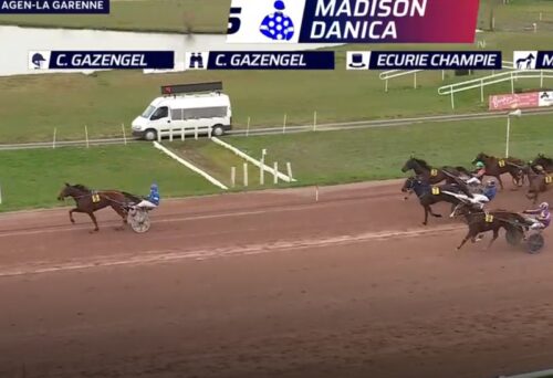 Madison Danica – Look des Ecus – Icare Dungy : la triple réussite du jour