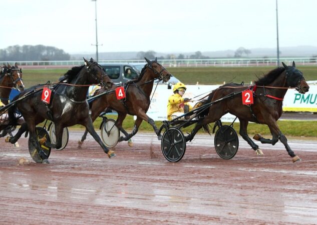 Maradona Ellis – Mardouk de Godrel : le joli couplé gagnant