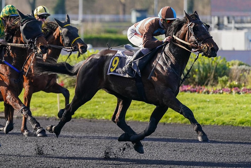 You are currently viewing Mario de la Vallée – Nassandra : un joli duo de gagnants