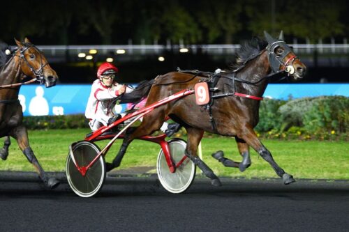 Un succès amplement mérité pour Marquise de Magny