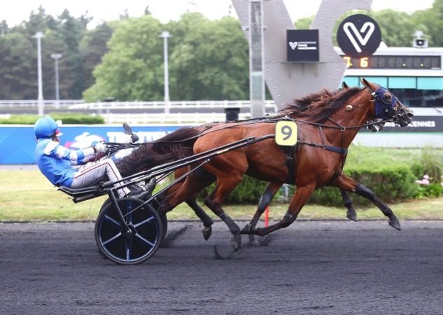Mat Manathis le plus fort dans le Prix Kalmia