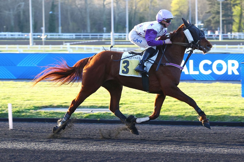 You are currently viewing MÉLODIE DE VIVOIN (2022)