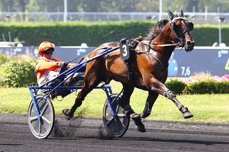 You are currently viewing Mystic Sonato – Live To Tell – Keengame – Ivoire Dairpet : 4 vainqueurs parisiens dont 3 au niveau Groupe