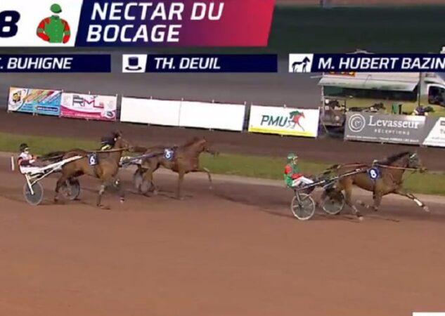 Mister Johns et Nectar du Bocage brillent au niveau Premium