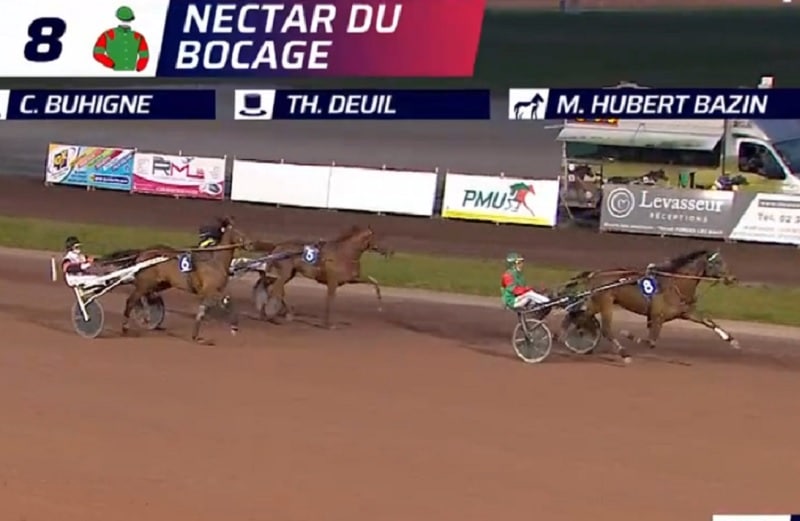 Vous consultez Mister Johns et Nectar du Bocage brillent au niveau Premium