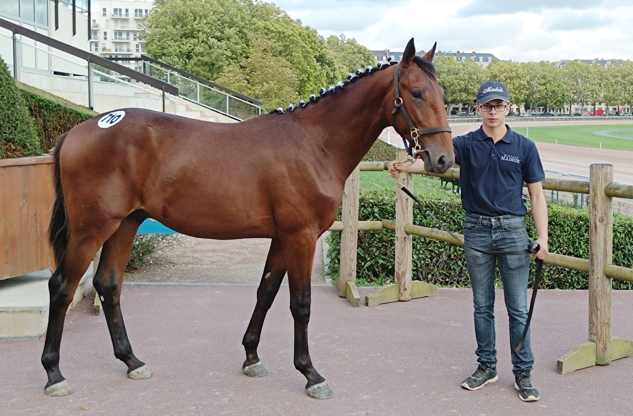 Une nouvelle journée record avec un top price, Next Bond, à 40 000 € !