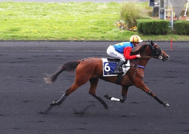 NASSANDRA, la souche de SURBOUM de nouveau à la fête parmi l’élite