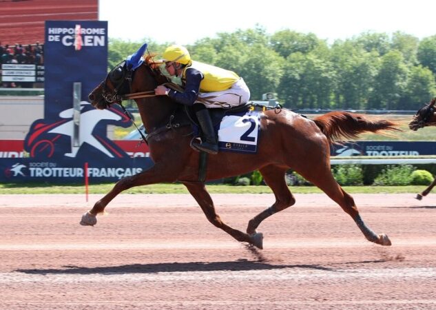 Un coup de maître signé Nautilio Bello, brillant vainqueur du Prix Pierre Gamare