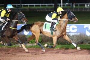 Lire la suite à propos de l’article Belle entrée en matière pour Nelson Thoris