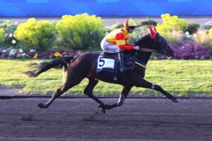 Lire la suite à propos de l’article Ninja de l&rsquo;Envol brille dans le Prix Félicien Gauvreau