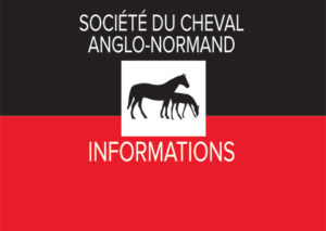 Compte-rendu AG Anglo-Normand du 21.12.23