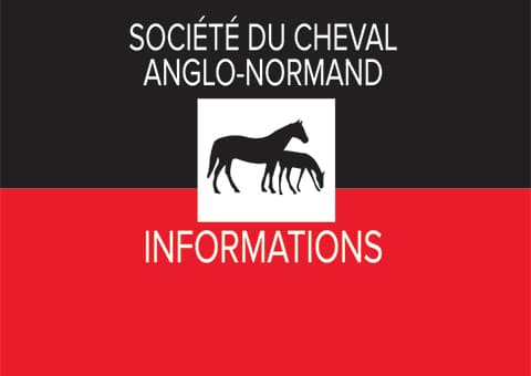 Compte-rendu AG Anglo-Normand du 21.12.23